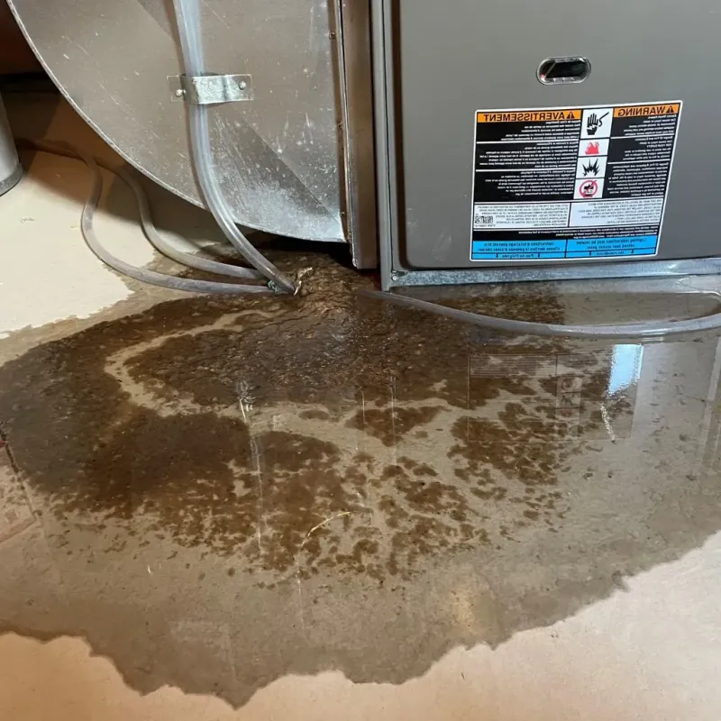 Pipe Burst and Leak Restoration in Bowmansville, PA