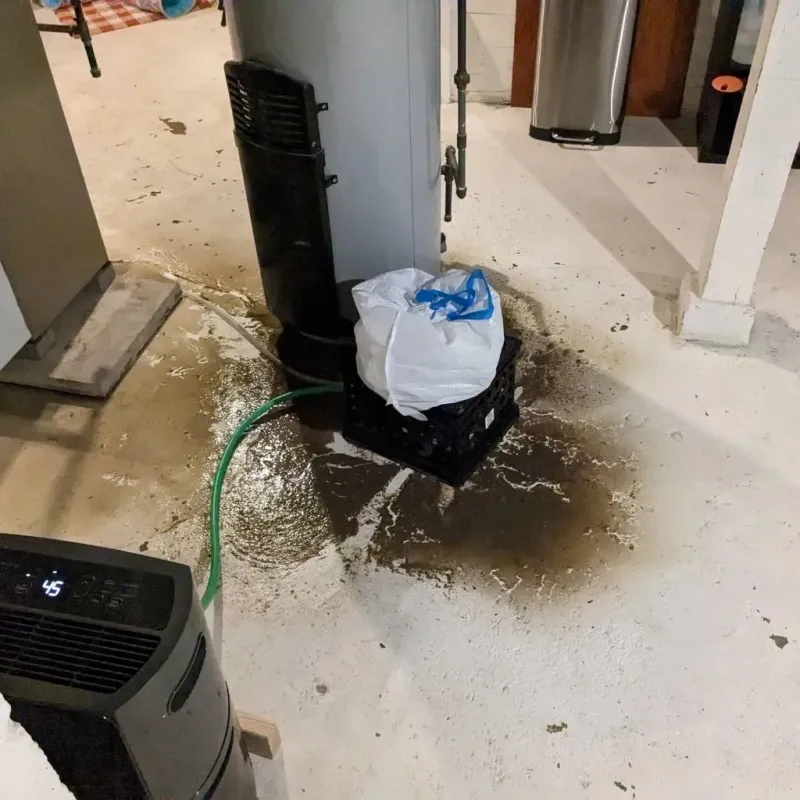 Sewage Backup Cleanup Service in Bowmansville, PA